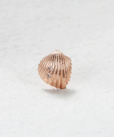 Sandy Shell Earrings